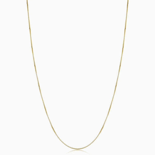 Collar | Bodega Box