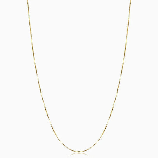 Collar | Bodega Box